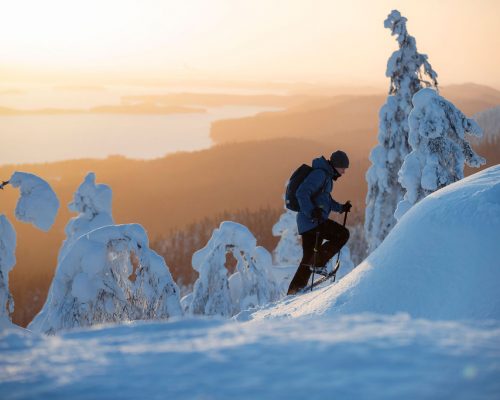 https://dmo.visitkarelia.fi/files/visitkarelia_harri-tarvainen_winter_koli22-1.jpg