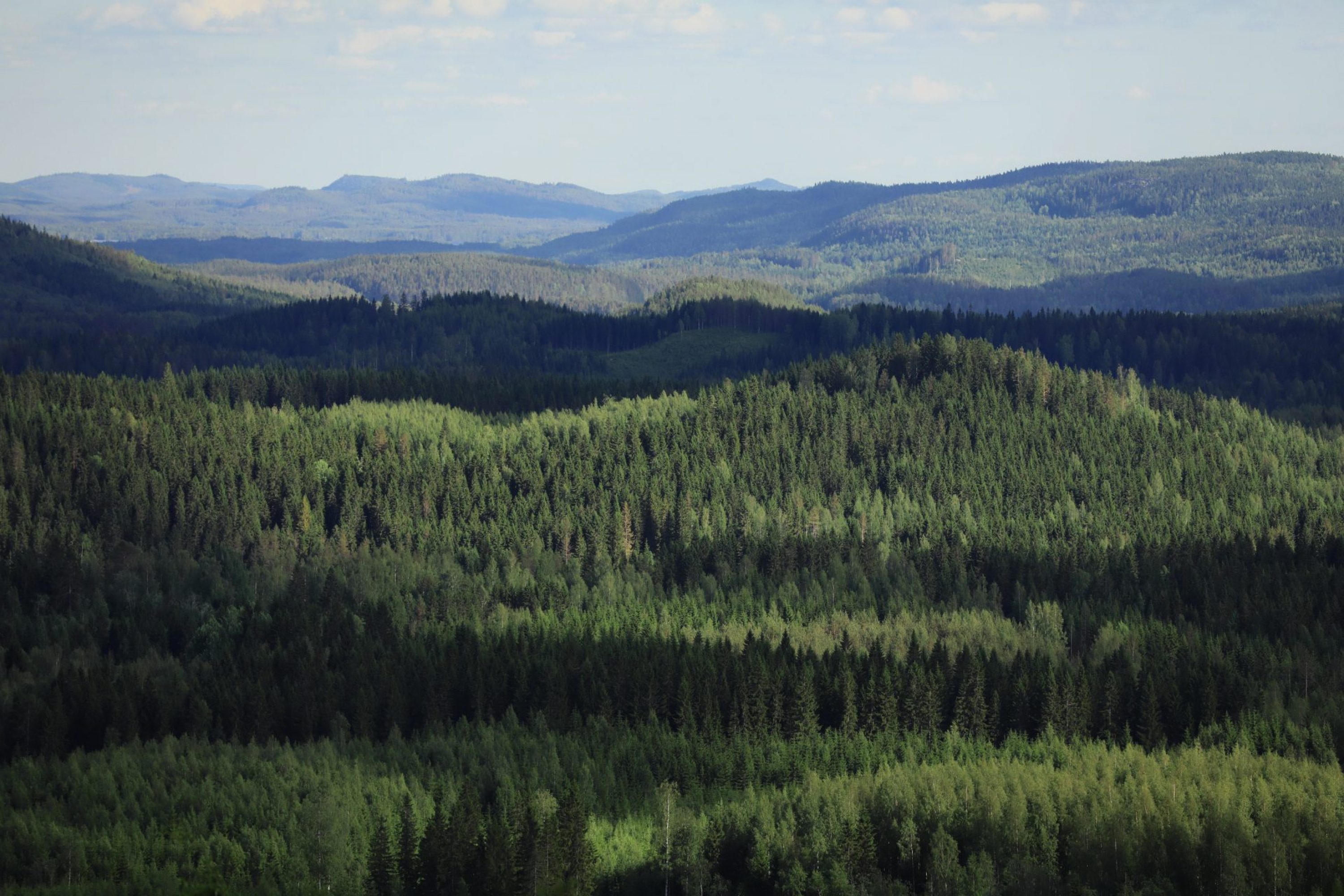 VK maisema koli kesa