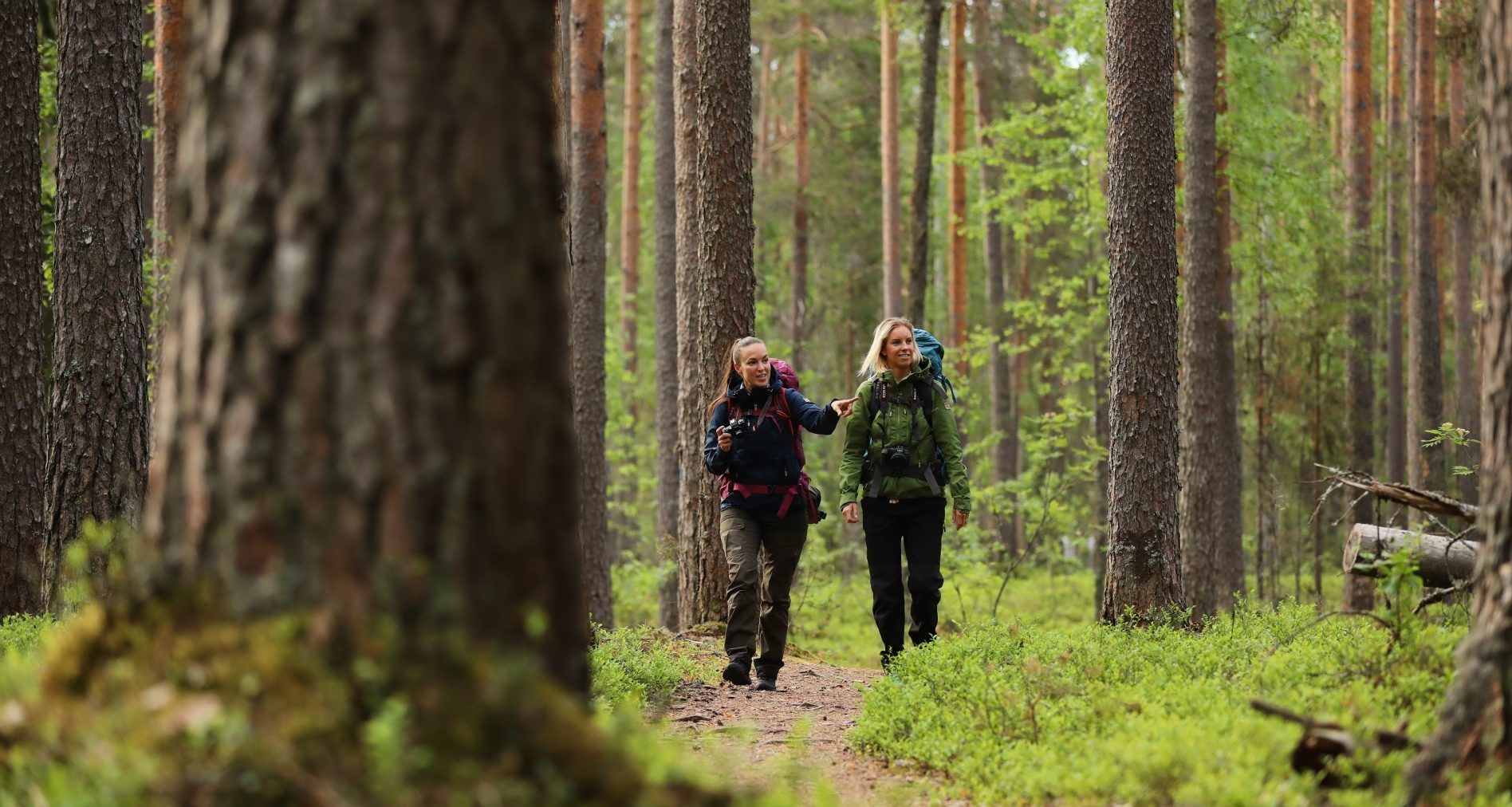 VK naiset metsassa retkella kesa syksy