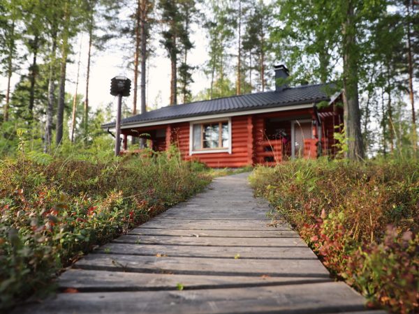 VK summer cottage in North Karelian forest