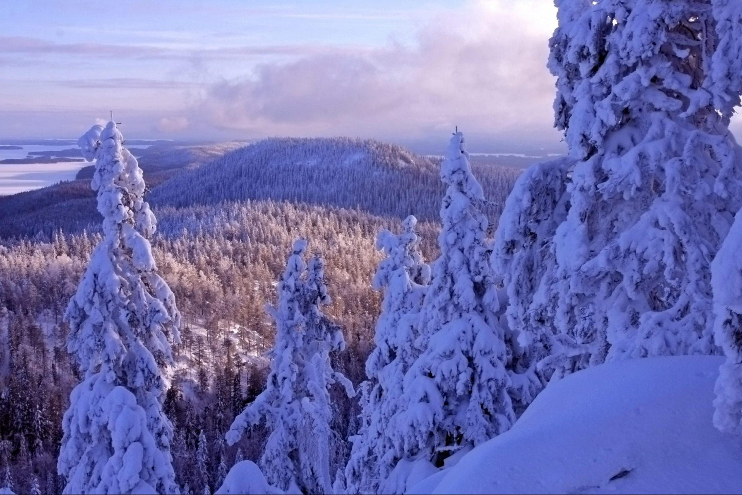 VK koli talvi maisema