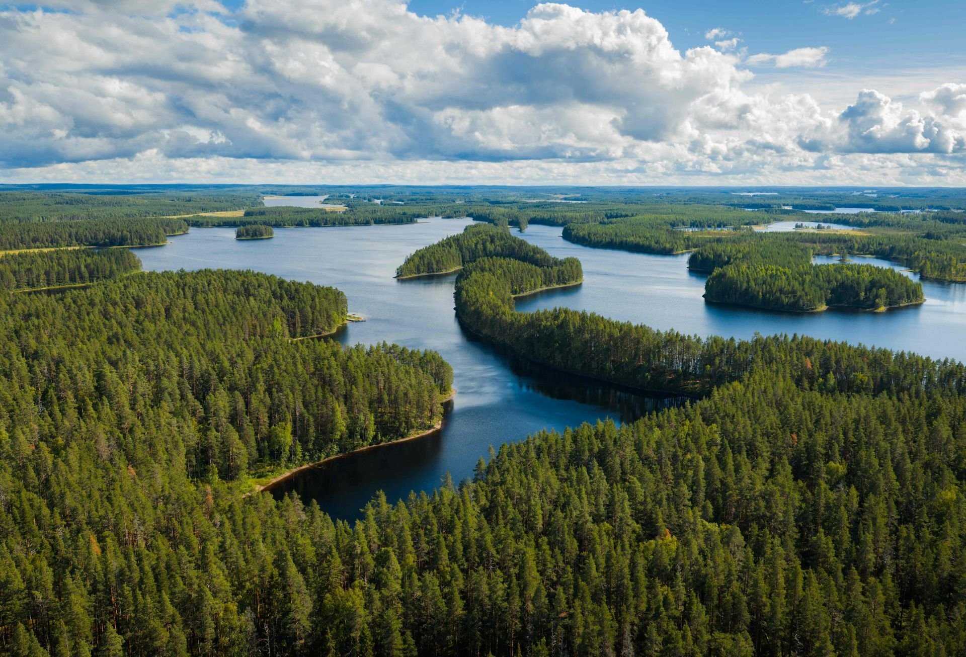 2025_Pro Lakeland_North Karelia_summer_Petkeljärvi_hires--11_2