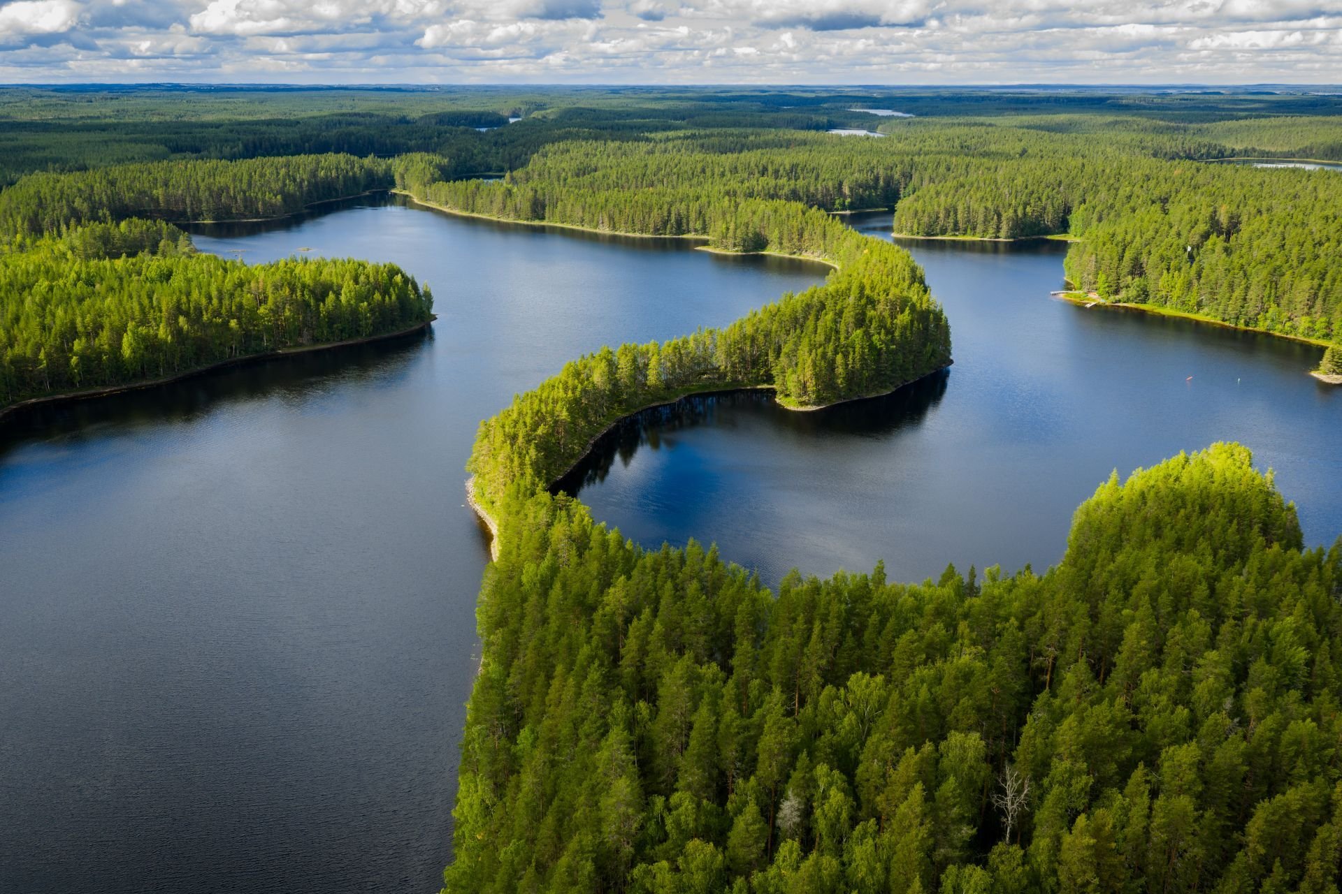 2025_Pro Lakeland_North Karelia_summer_Petkeljärvi_hires--5-1