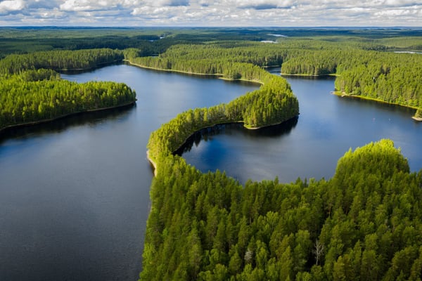 2025_Pro Lakeland_North Karelia_summer_Petkeljärvi_hires--5-1