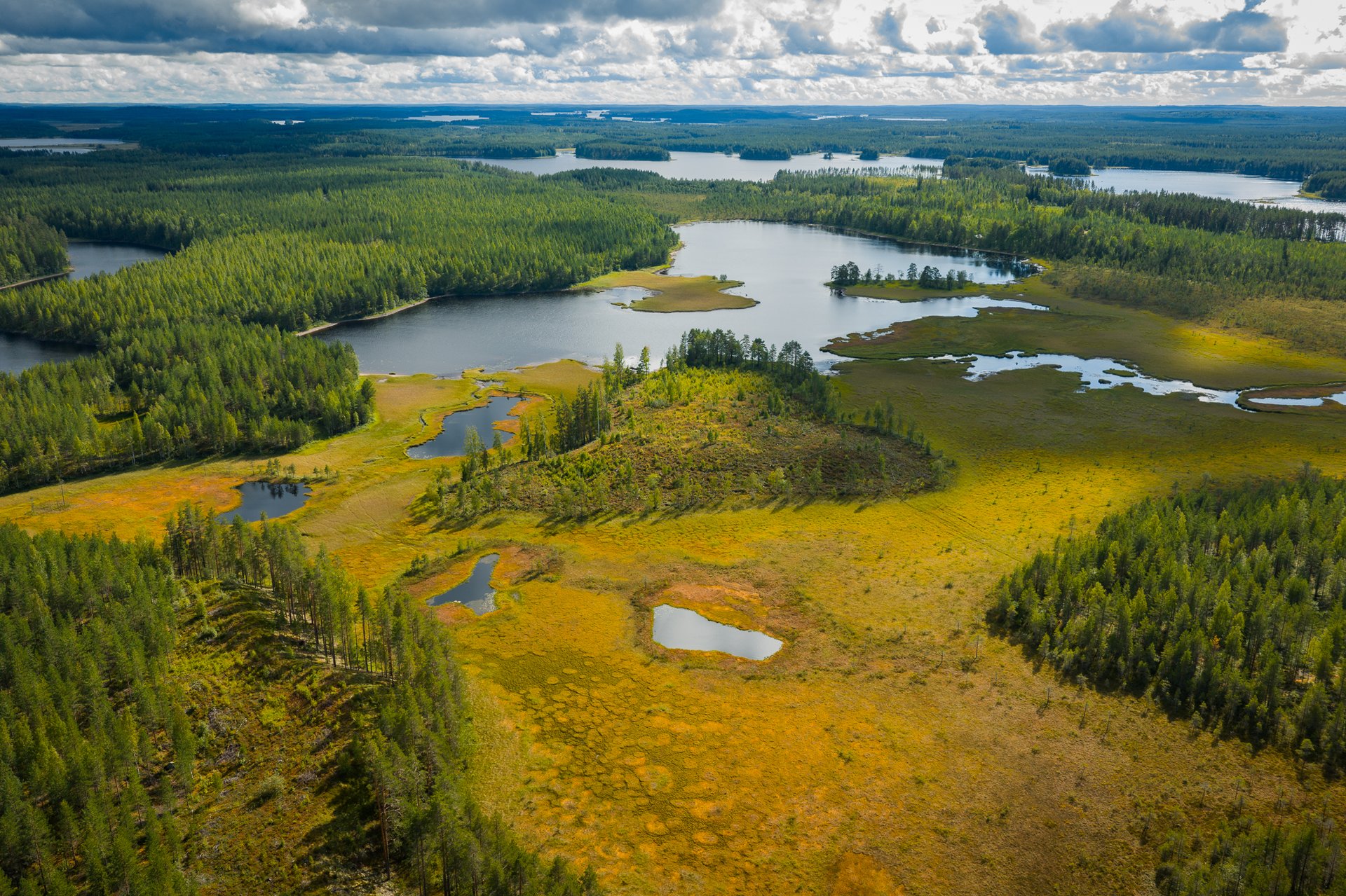 2025_Pro Lakeland_North Karelia_summer_Petkeljärvi_lowres--7