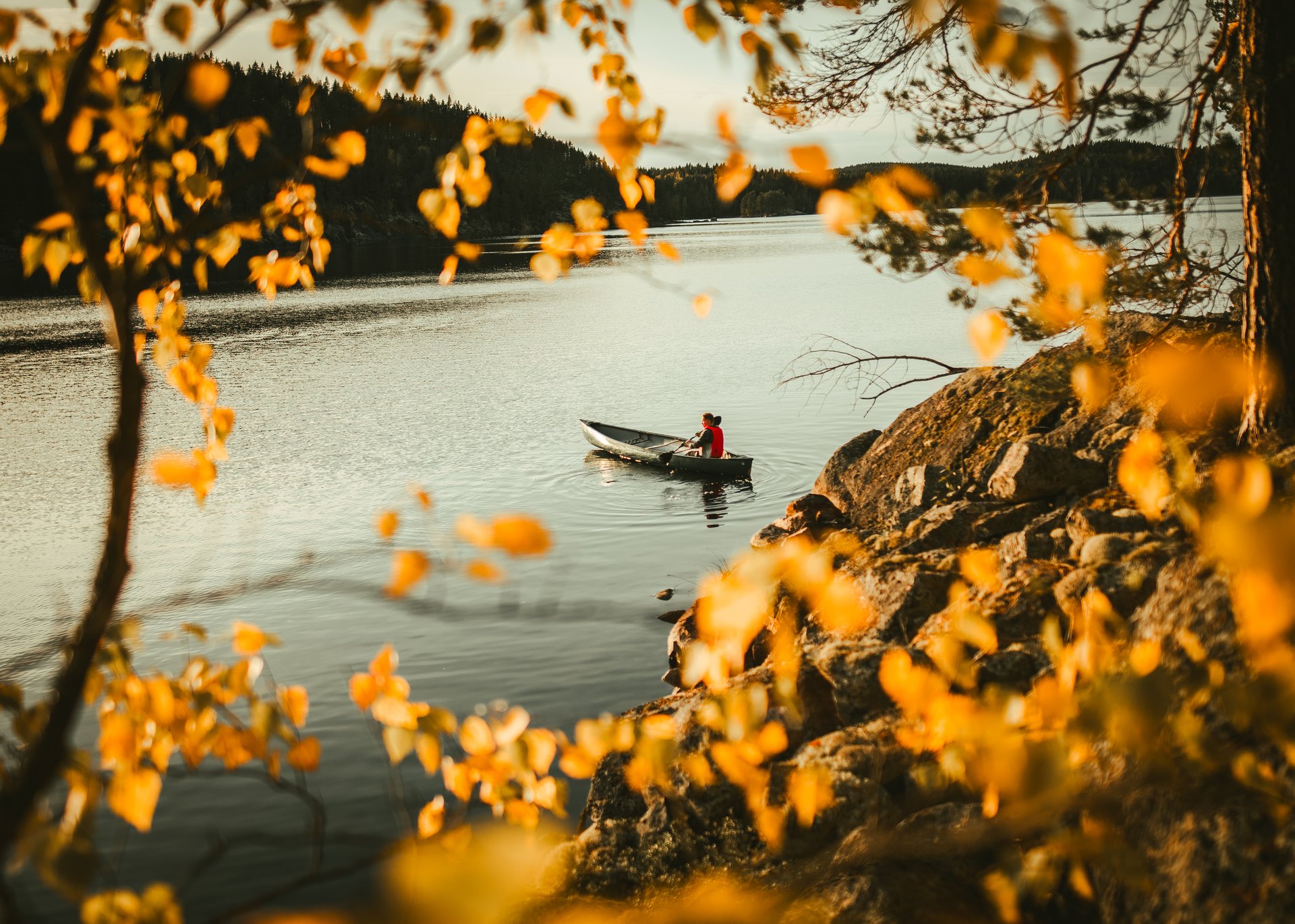 Finland DMC