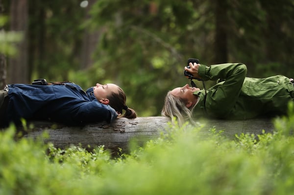 Business_Joensuu_matkailu_herokuva_naiset_puunrungolla