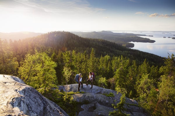 Retkeilijät Kolilla