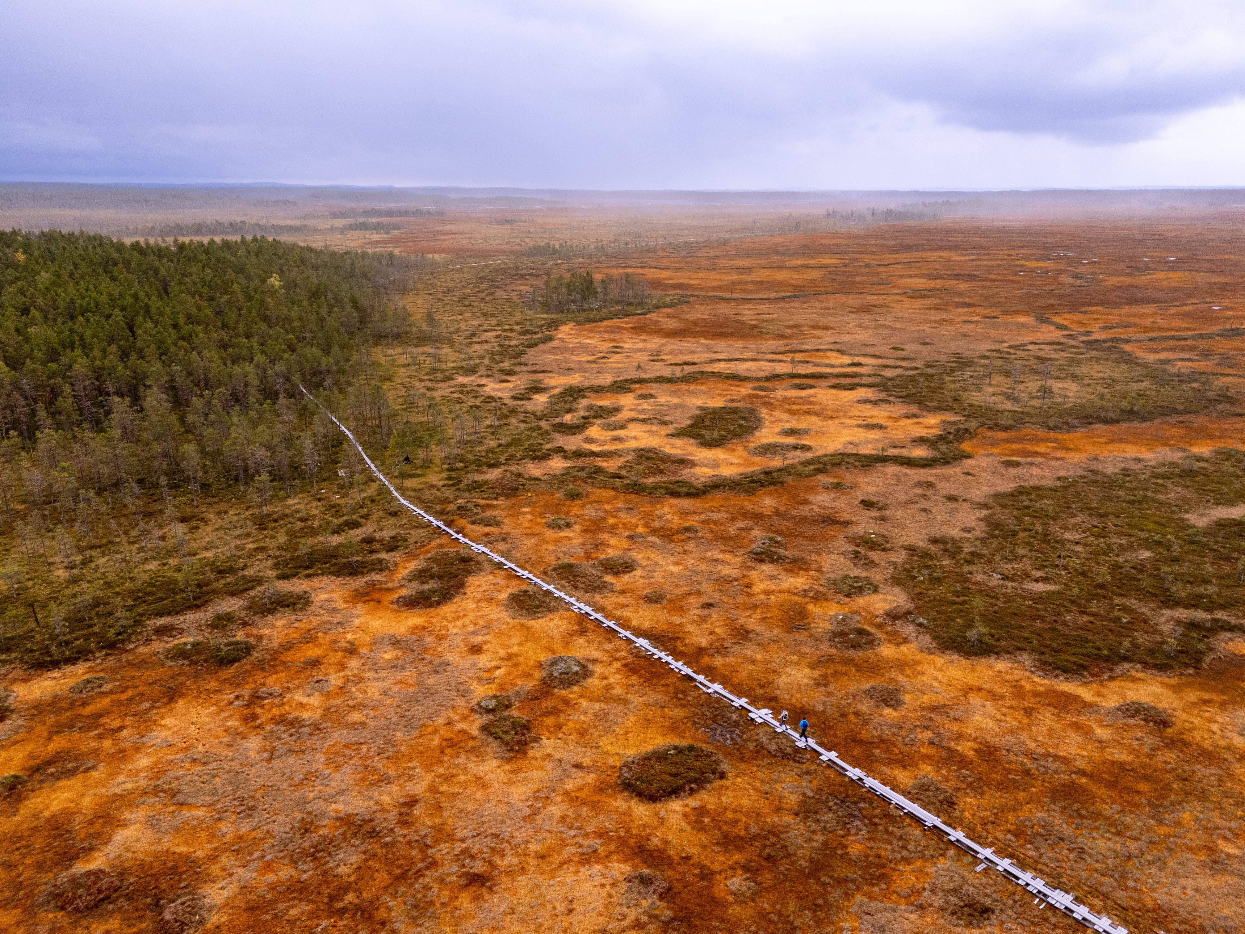 Visit-Karelia-Ruunaa-Patvinsuo-drone-fullres-0679