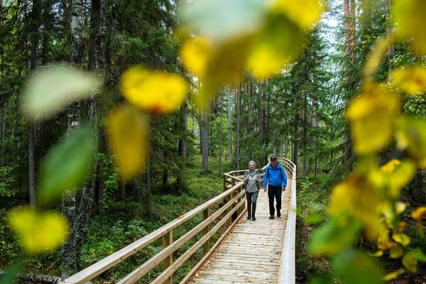 Visit-Karelia-Ruunaa-Patvinsuo-fullres-7185_pienempi