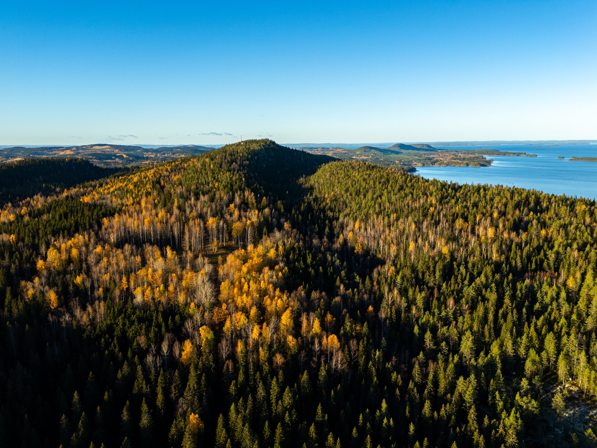 Koli-Ruska-fullres_0043