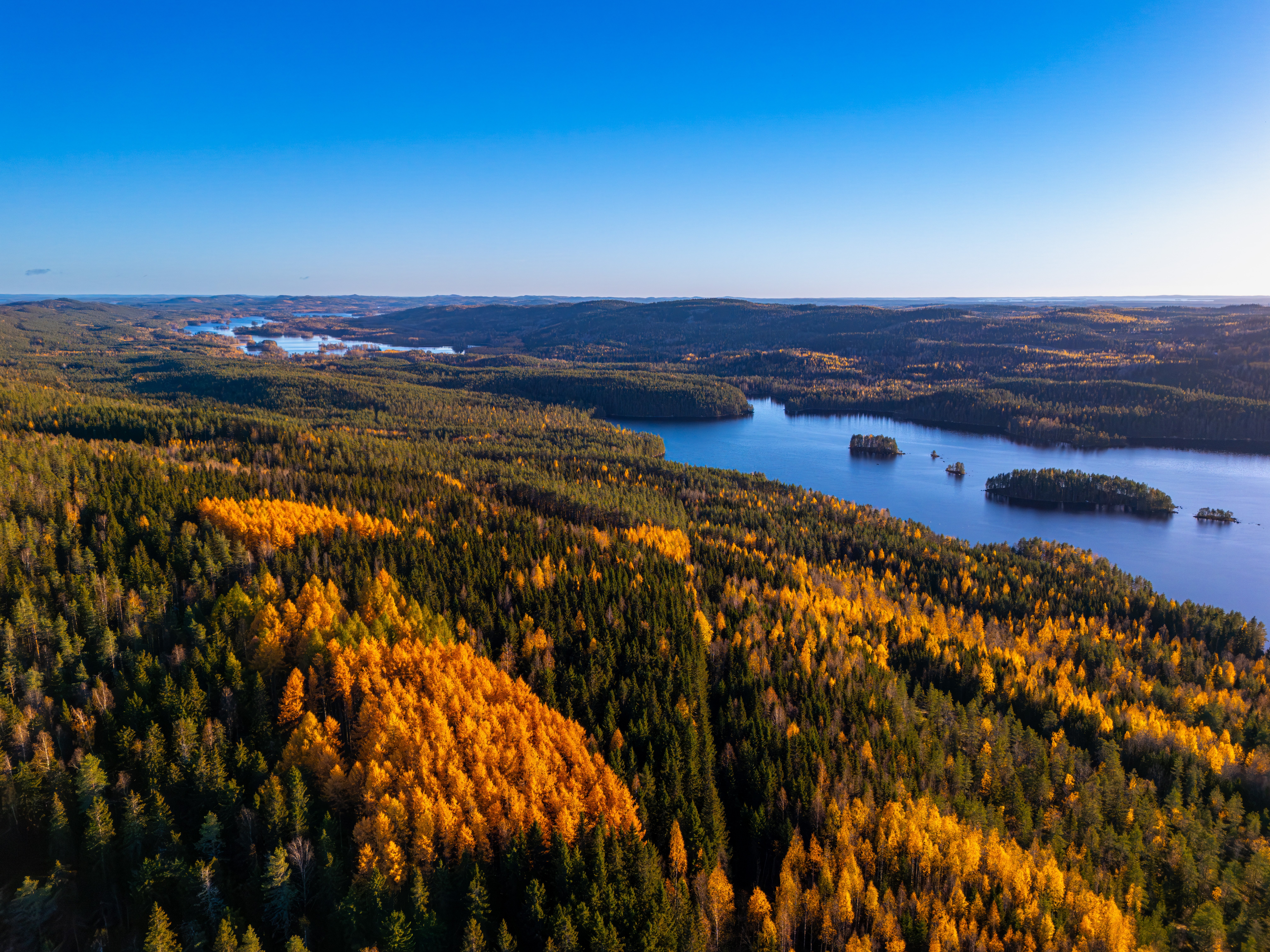 Koli-Ruska-fullres_0091